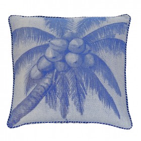 Royal Pacific Coconut Palm