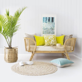 Lumbar Mexican Fern - Image 3