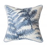 Midnight Tree Fern