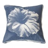 Midnight Hawaiian Hibiscus