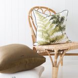 Olive Tree Fern - Image 2